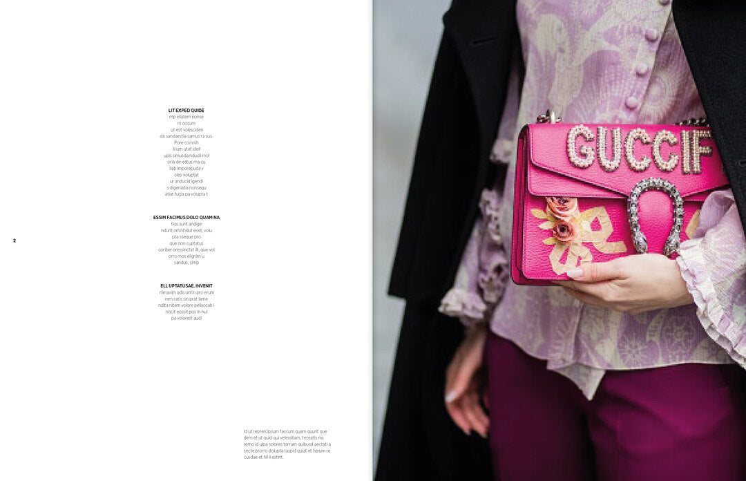 Cover image for The Ultimate Guide to Gucci Bags ISBN 9783961718504